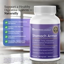 stomach-armor---shelf-stable-pre-and-pro-6.jpg