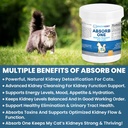 cat-kidney-support-supplement-for-normal-5.jpg