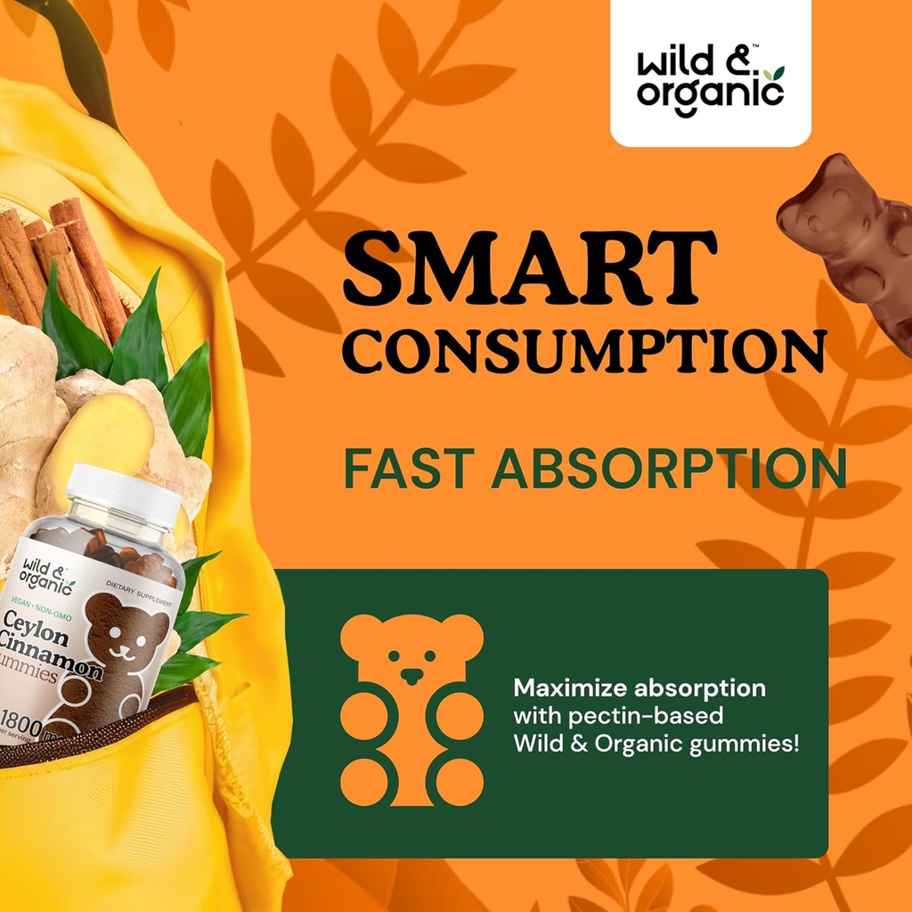 wild-organic-ceylon-cinnamon-gummies-pin-4.jpg
