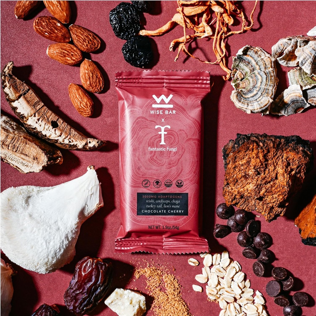 wise-bar-adaptogen-mushroom-nutrition-ba-3.jpg