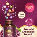 nad-supplement-1100mg-pure-organic-lipos-3.jpg