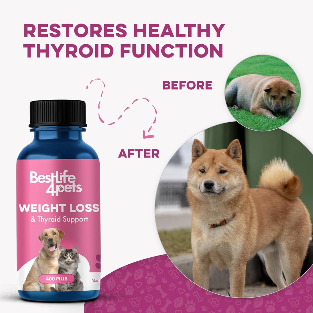 weight-thyroid-support-for-dogs-and-cats-5.jpg