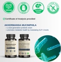 vinatura-akkermansia-probiotic---akkerma-2.jpg