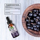 amazing-botanicals-acai-berry-tincture-1-5.jpg
