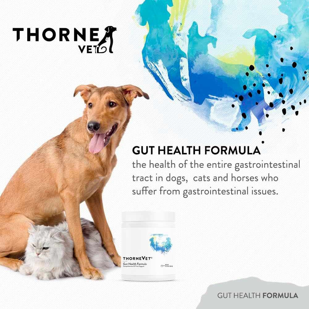 thornevet-gut-health-formula-gastrointes-2.jpg