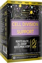 actif-cell-division-support-maximum-stre-3.jpg