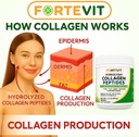 fortevit-collagen-peptides-powder-for-wo-6.jpg