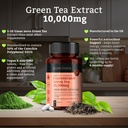 pureclinica-concentrated-green-tea-10000-4.jpg