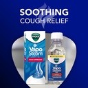 vicks-vaposteam-medicated-liquid-with-ca-3.jpg