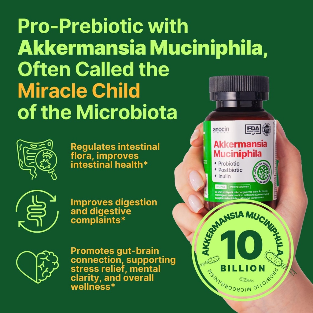 akkermansia-muciniphila-probiotic-postbi-3.jpg
