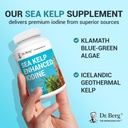 dr-berg-sea-kelp-enhanced-iodine---200-m-6.jpg