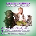 natural-dog-cat-uti-treatment-with-cranb-3.jpg
