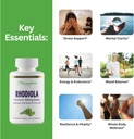 paradise-herbs-rhodiola-extract-500mg-su-2.jpg