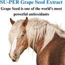 su-per-grape-seed-extract-horse-antioxid-2.jpg