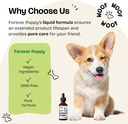 forever-puppy-vision-supplements-for-dog-6.jpg