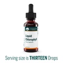 genestra-brands-liquid-chlorophyll-25-mg-3.jpg