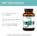 himalaya-organic-guduchi-for-active-immu-4.jpg