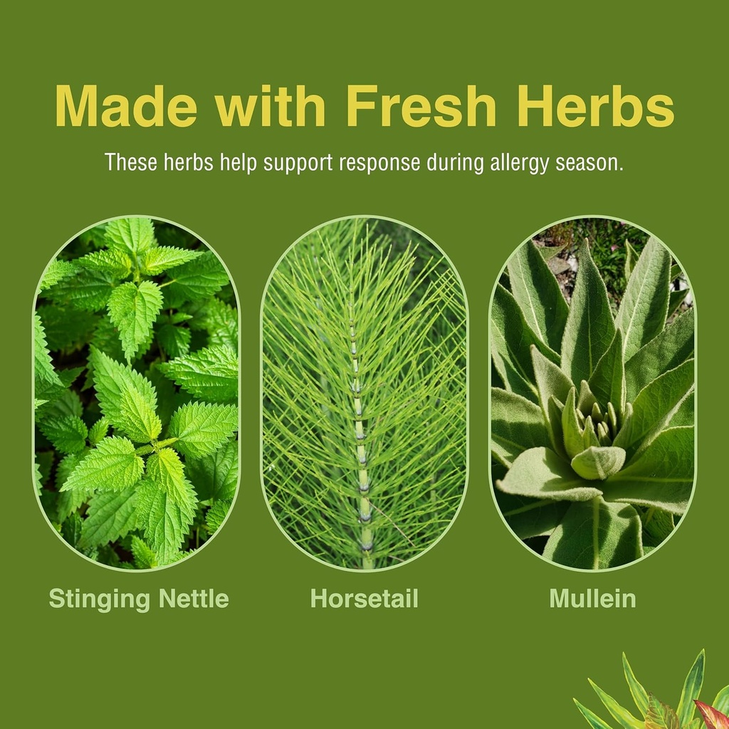 herbs-etc-allergy-releaf-system---season-6.jpg