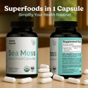 atlantic-naturals-sea-moss-capsules-with-3.jpg