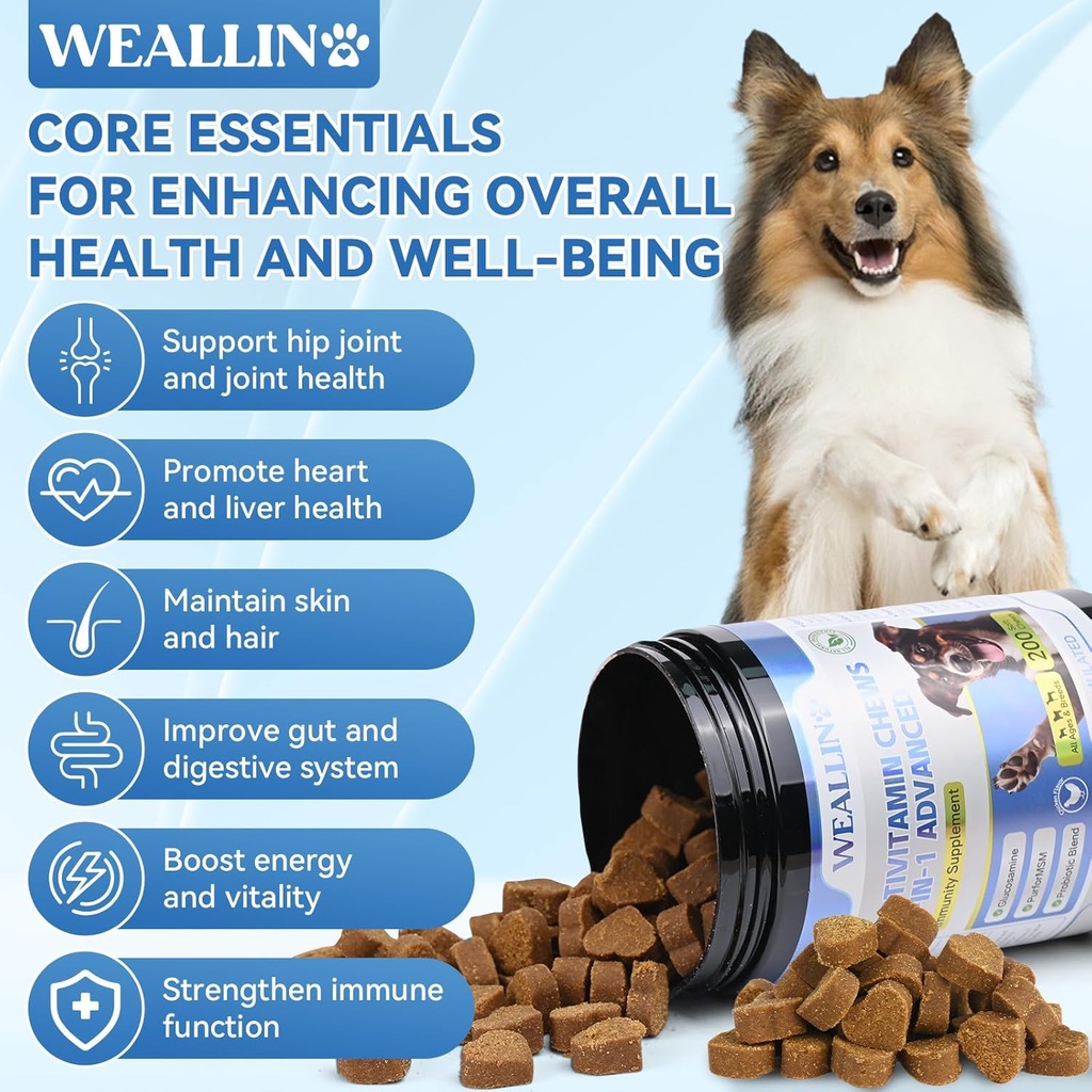 dog-vitamins-dog-allergy-relief-chews-2.jpg