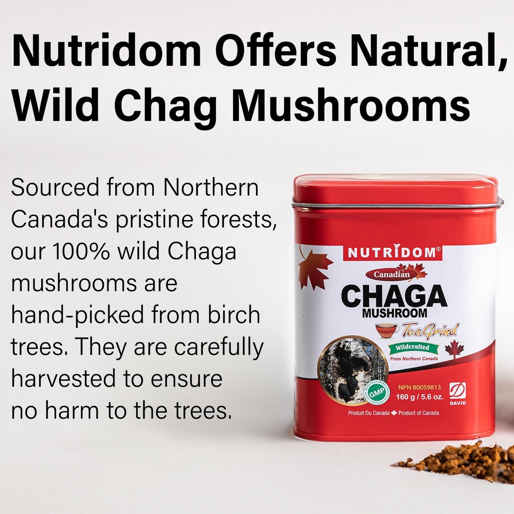 nutridom-canadian-chaga-mushroom-tea-gri-4.jpg