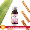 teaonic-my-gut-mojo-digest-detox-drinks--2.jpg