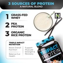 nutrology-tripact-protein-powder-7-in-1--6.jpg