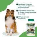essiac-international-herbal-supplement-f-2.jpg
