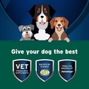 pet-protect-dog-probiotic-balance-oral-g-3.jpg
