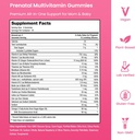 prenatal-vitamin-gummies-with-dha-vegan--4.jpg