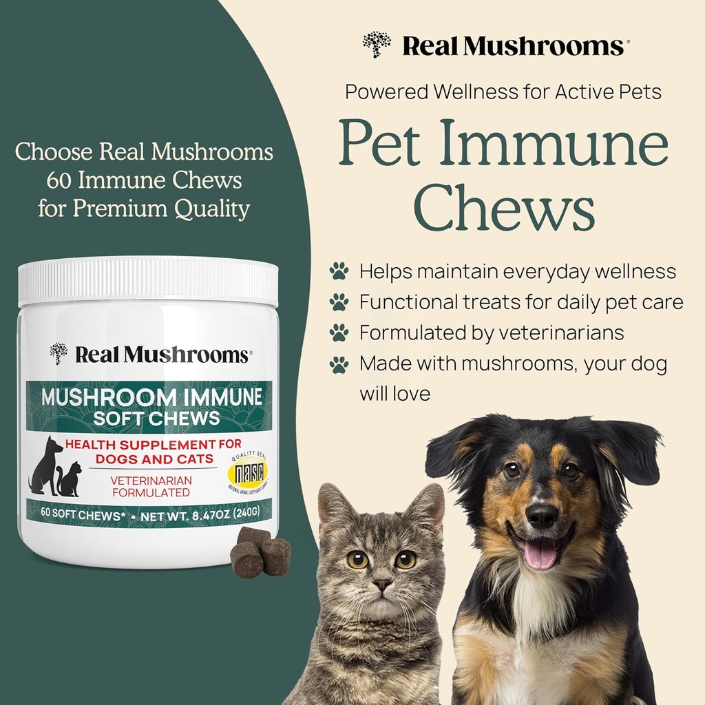 real-mushroom-immune-pet-chews-for-daily-2.jpg