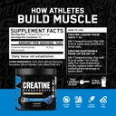 all-black-everything-creatine-monhydrate-2.jpg