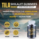 tila-organic-himalayan-shilajit-resin-so-3.jpg