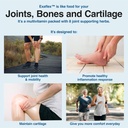 n-labs-exaflex-glucosamine-chondroitin-m-4.jpg