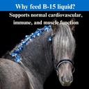 su-per-b-15-vitamin-supplement-for-horse-5.jpg