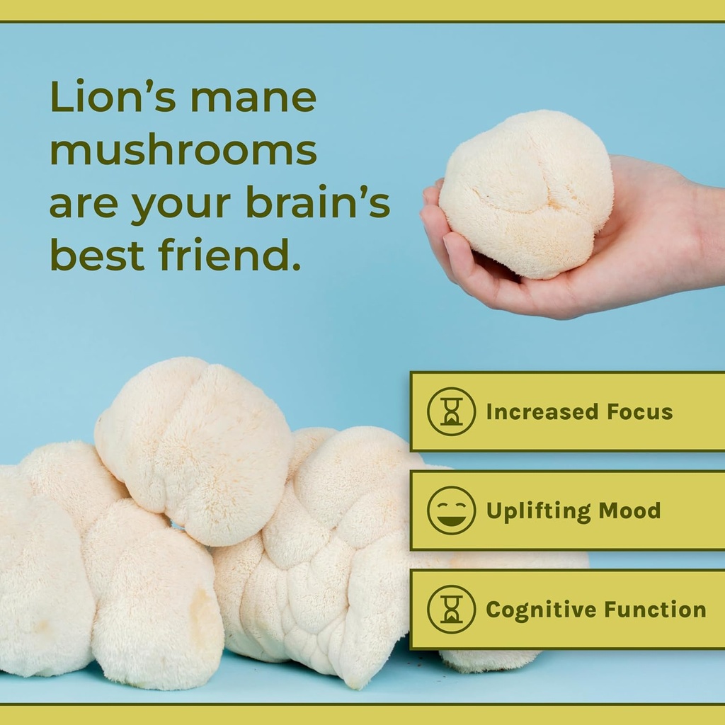 naturealm-lions-mane-mushroom-powder---o-3.jpg