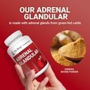 dr-berg-adrenal-glandular---hormone-bala-6.jpg