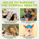 milk-thistle-for-dogs-dog-liver-support--4.jpg
