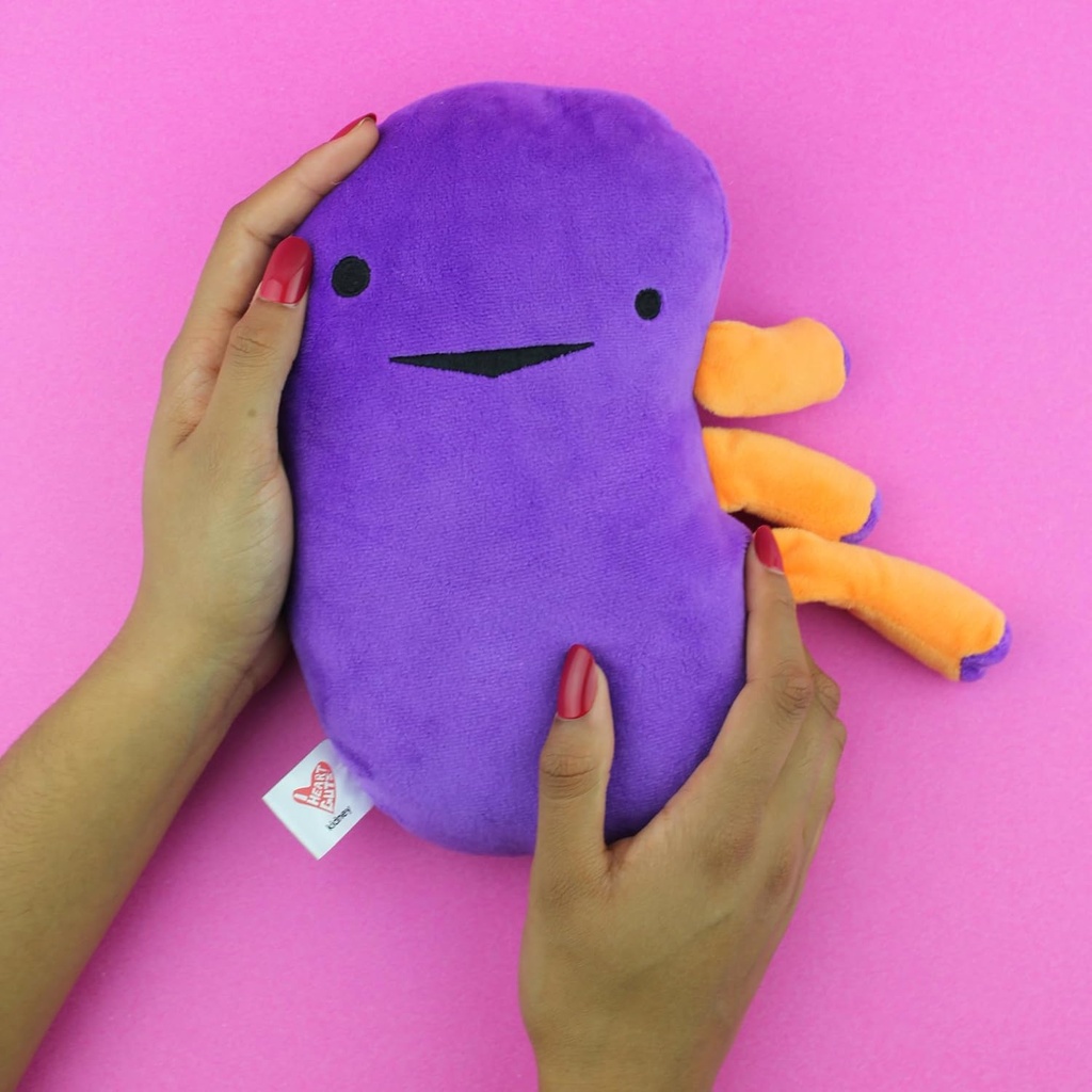 i-heart-guts-kidney-plush-9-educational--4.jpg