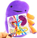 i-heart-guts-kidney-plush-9-educational--6.jpg
