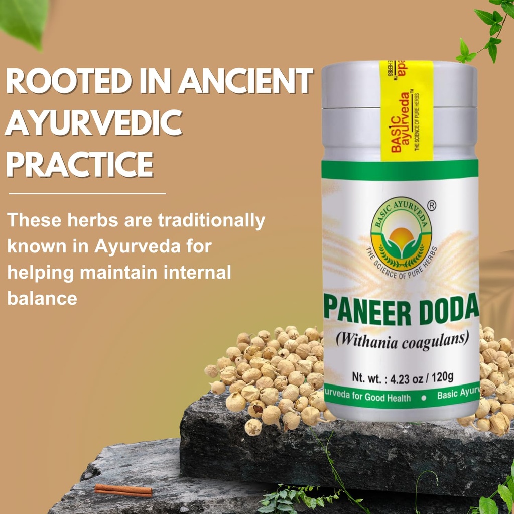 basic-ayurveda-paneer-doda-powder-withan-3.jpg