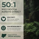 jungle-powders-fadogia-agrestis-powder-f-4.jpg