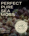 sea-moss-supplement-sea-moss-capsules-wi-4.jpg