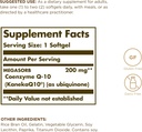 solgar-megasorb-coq-10-200-mg---30-softg-2.jpg