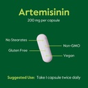 bestvite-artemisinin-200mg-per-capsule-6-5.jpg