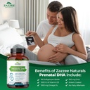 zazzee-extra-strength-prenatal-dha-500-m-2.jpg