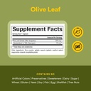 herbalfactors-by-natural-factors-olive-l-4.jpg