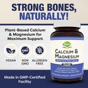 plant-calcium-magnesium-supplement-with--2.jpg