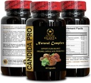 candida-support-complex---reishi-mushroo-4.jpg