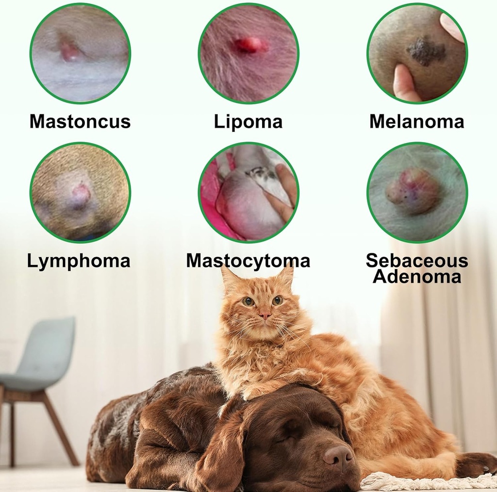 lipoma-treatment-targets-guard-for-dogs--6.jpg